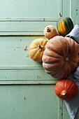 Pumpkin still life - butternut, yellow centner, hokkaido, acorn squash,