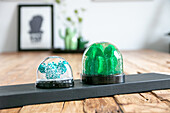 Mini snow globes with green cactus and heart decoration on wooden board