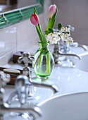 Tulip (Tulipa) and lily of the valley (Convallaria majalis) in a vase on a sink