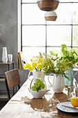Teapot with snowball (viburnum) and spring bouquets in vases on dining table