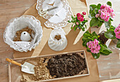 Plant primroses in porcelain cake moulds