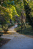 Weg im herbstlichen Park