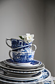 Blue and white crockery with jasmine flowers