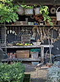 Chicken in front of garden shed with baskets and tools