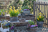 Daffodil; 'Tete a Tete'; and 'Tete a Tete Boucle'; pussy willow wreath; Crocus; 'Vanguard'; Snowdrop; Iris reticulata; Clairette'; Spring Alpine Oak;