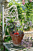 Wildrosenblüten (Rosa canina) oder 'Hundsrose', Blütendeko an Blumentopf mit Erdbeeren, Spaten und Schaufel, Blüten von Zierlauch