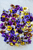 Horned violet flowers for cooking