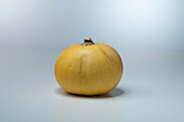 Cue Ball F1 (pumpkin variety)
