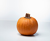 Gargoyle F1 (pumpkin variety)