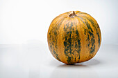 Gleisdorfer oil pumpkin (pumpkin variety from Germany)