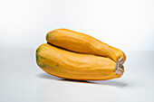 Golden Zebra (zucchini variety)