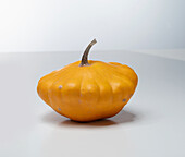 Panaché Jaune (pumpkin variety from France)