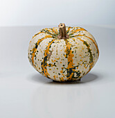 Lil Pump-ke-mon F1 (pumpkin variety from the USA)