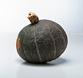 Meruhen (pumpkin variety from Japan)