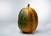 Mozolevskaya (pumpkin variety from Turkey)