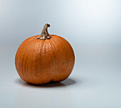 Spookie (pumpkin variety from Hungary)