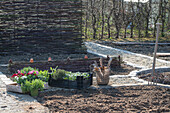 Bed border with herbs and cloves