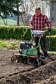 Soil preparation with hand tiller for potatoes