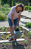 Pour in the savoy cabbage