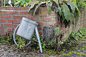 Emptying watering can to prevent it from freezing, leaning against wall of raised bed