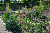 Broccoli 'Broccoletto', datura (Datura stramonium), milk thistle (Silybum marianum), garden melilot (Atriplex hortensis), fragrant nettle (Agastache), cosmos, atlas flower in the bed