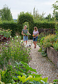Zwei Frauen mit Hund bei Ernte von Gemüse, Mangold (Beta vulgaris) und Zucchini vor Gemüsebeet und Blumenbeet mit Ringelblumen und Cosmea
