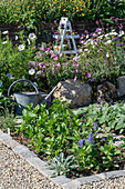 Beet mit Cosmea (Cosmos), Feld-Rittersporn (Delphinium consolida), Kalifornischer Mohn (Eschscholzia californica), Zinnien (Zinnia) und Gemeine Nachtkerze (Oenothera biennis)