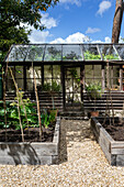 Greenhouse with glass roof, raised beds in summer