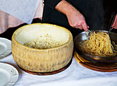 Spaghetti mit Schweinebacke im Pecorino-Käserad