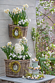 Narzisse 'Bridal Crown' (Narcissus), Hyazinthen (Hyacinthus), Hornveilchen (Viola Cornuta) in Blumenkorb mit Etagere aus Krügen und Zuckerostereiern