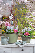 Hyacinths (Hyacinthus), Pushkinia and primroses (Primula) in pots with Easter decorations on the patio