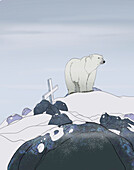 Solitary polar bear, illustration