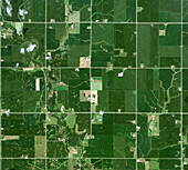 Corn fields, Iowa, USA, satellite image