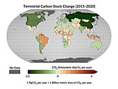 Terrestrial carbon stock changes, 2015-2020