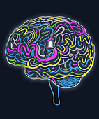 Brain path, conceptual illustration