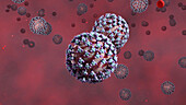 Covid-19 virus particles, illustration