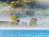 Autumn mist over Lake Windermere, Lake District, UK
