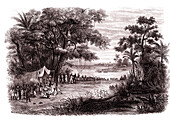 Fishing for turtle eggs, 19th century illustration