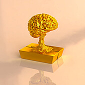 Golden brain, illustration