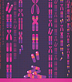 Genetic medicine, conceptual illustration