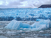 Icebergs at San Rafael Glacier terminus, Chile