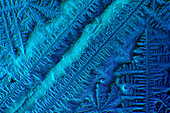 Recrystallized soy sauce, light micrograph