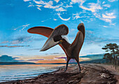 Tupuxuara pterosaur, illustration