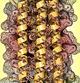Minimalistic molecular maquette scaffold, illustration