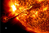 Solar flare, SDO image, showing relative scale with the Earth