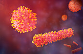 Respiratory syncytial virus particles, illustration