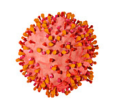 Spherical respiratory syncytial virus, illustration