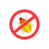 Potato beetle pest sign, conceptual illustration
