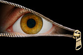 Human eye staring through zip, composite image