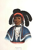 Micanopy, Seminole Chief, illustration